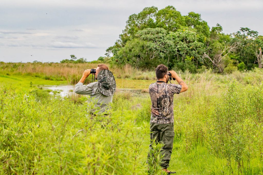 Vista panorámica de los Esteros del Iberá