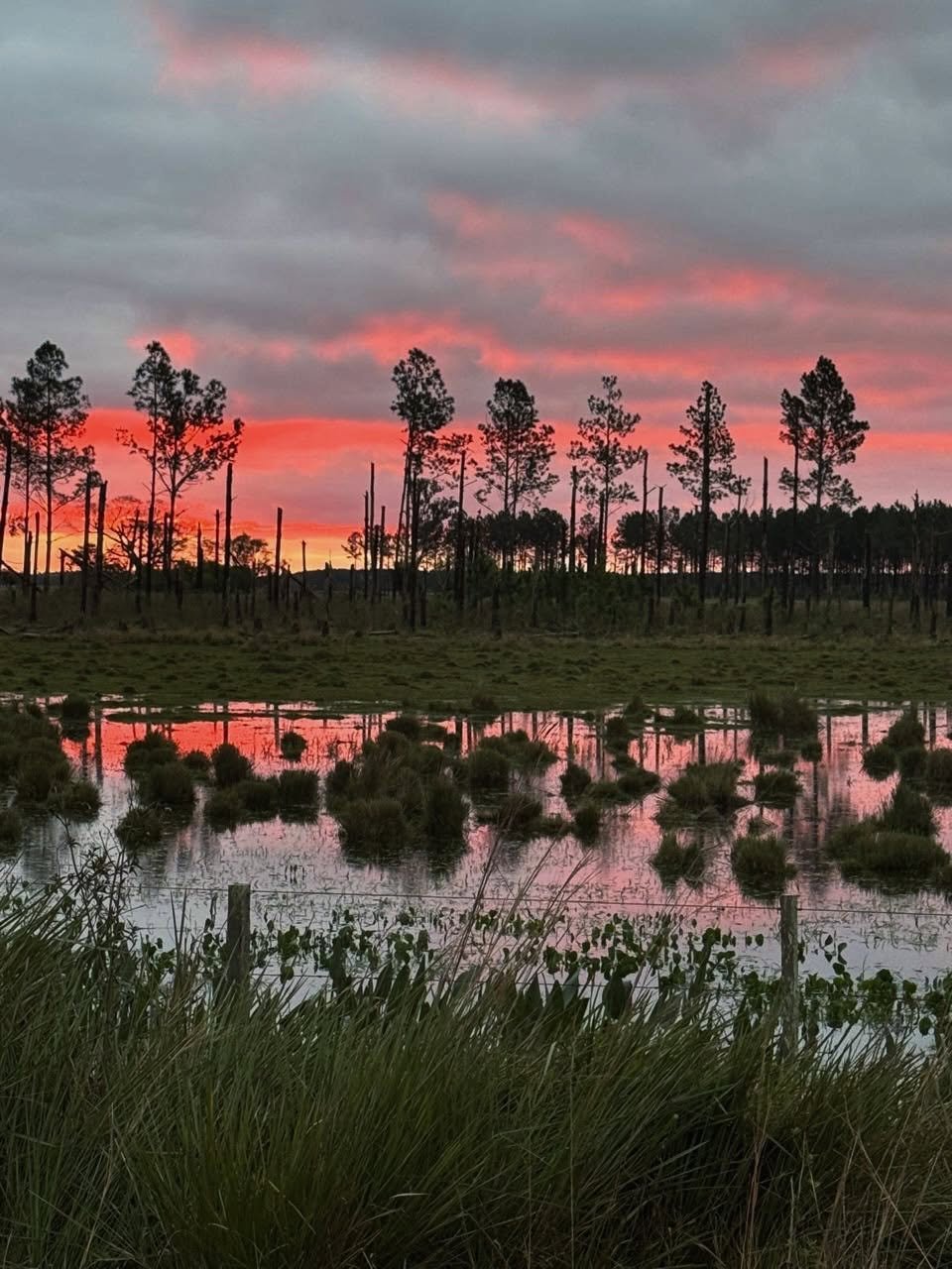 Ciudad de Ituzaingó - Puerto de entrada al Iberá